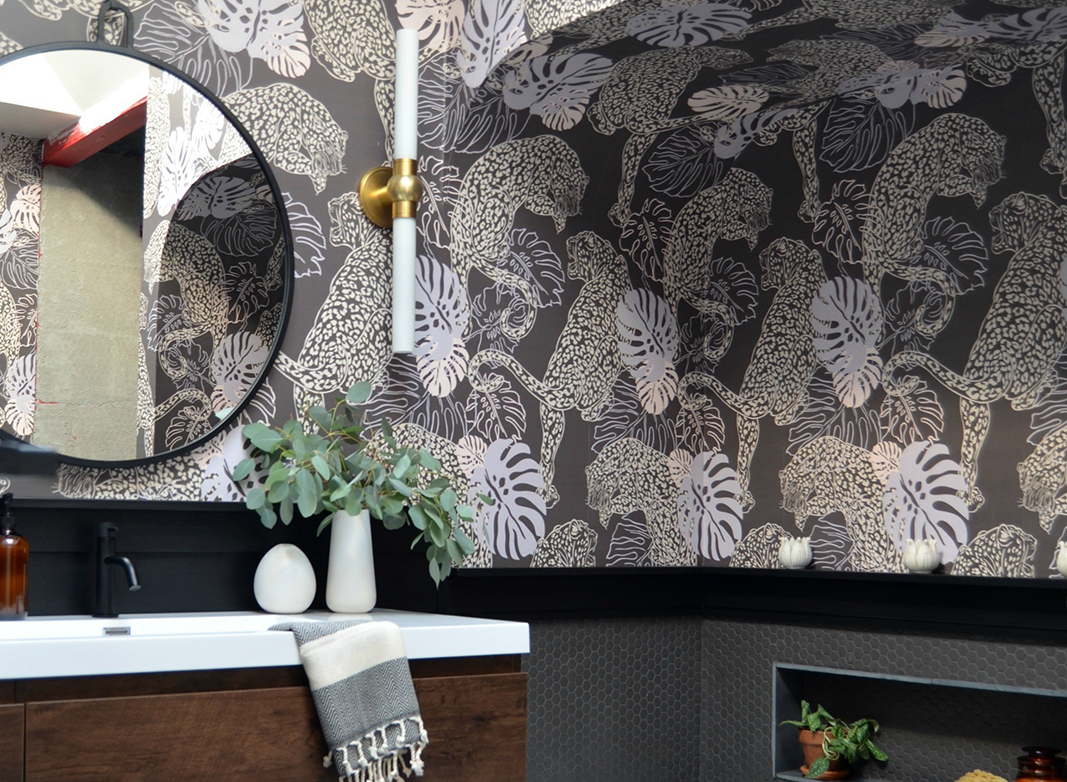 Kingdom Home - Leopard - osaka